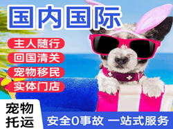 阿里昆莎机场货运国际宠物托运 【国